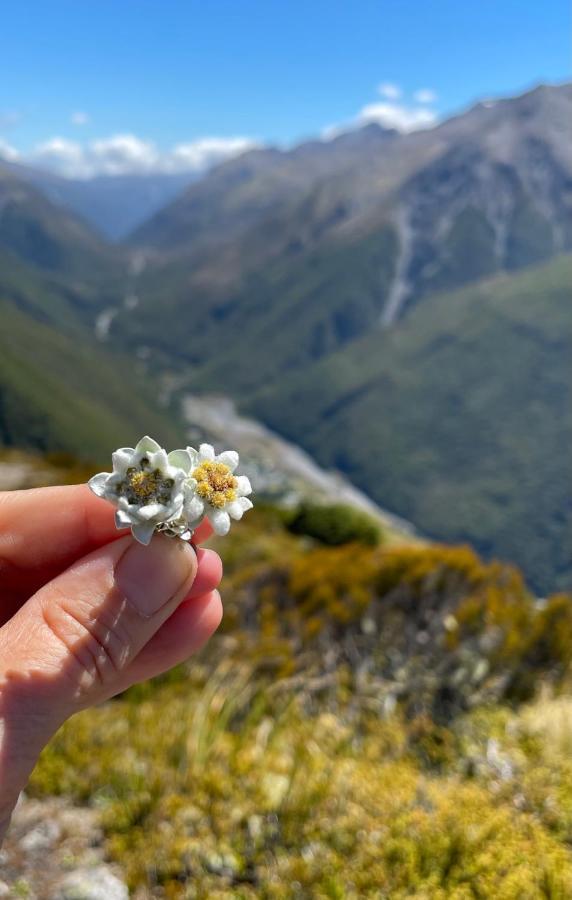 Arthur'S Pass Motel & Lodge Экстерьер фото